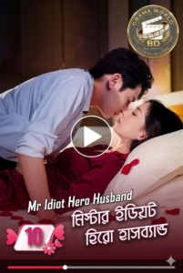 Mr idiot hero husband drama Bangla dubbed watch and download free